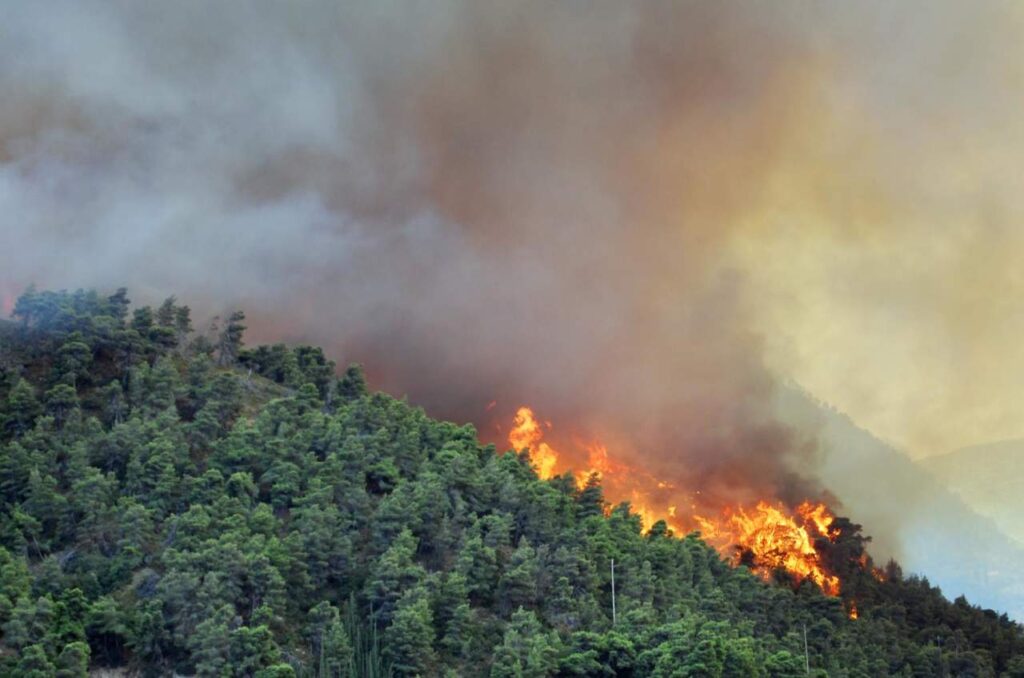 incendi boschivi