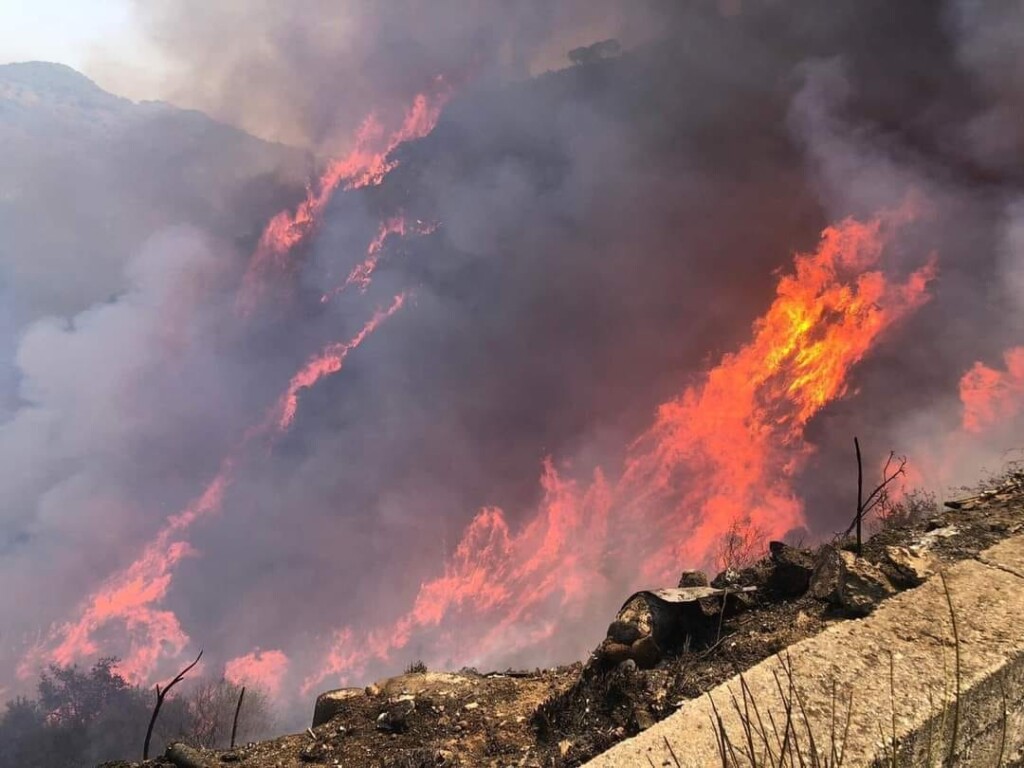 incendi crotone