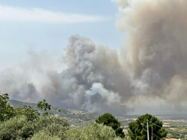 incendi oliveri sicilia