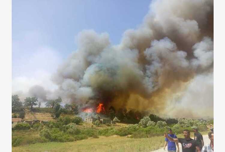 incendi tunisia