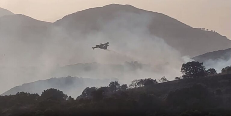 incendio contessa entellina sicilia