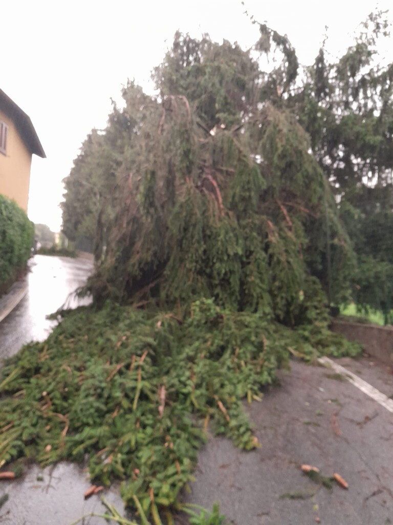 maltempo como Anzano del Parco Alserio