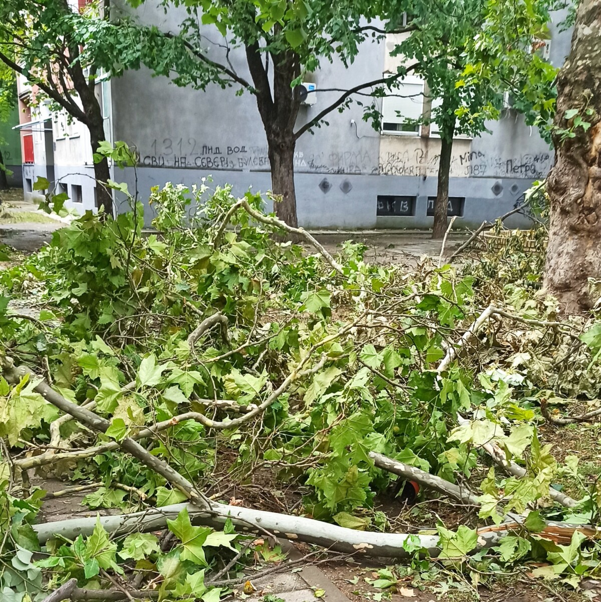 maltempo tempesta serbia novi sad