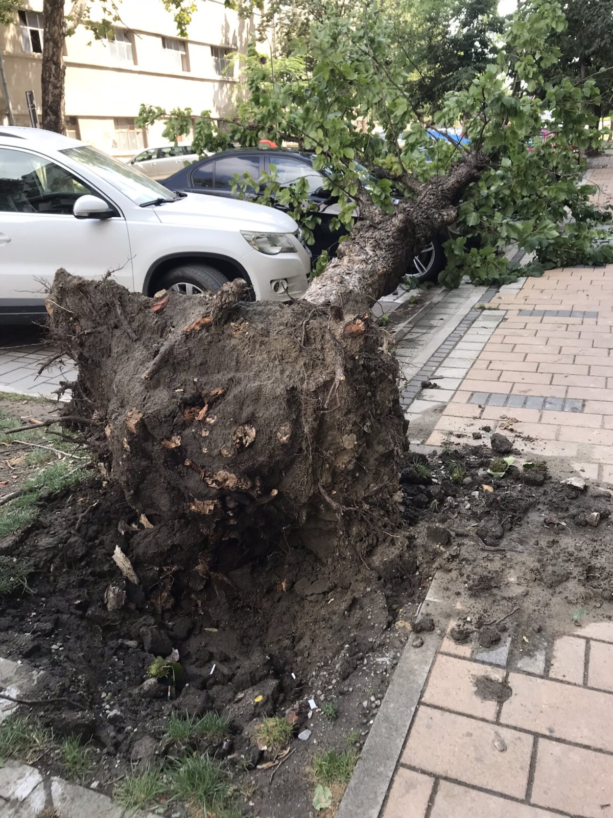 maltempo tempesta serbia novi sad