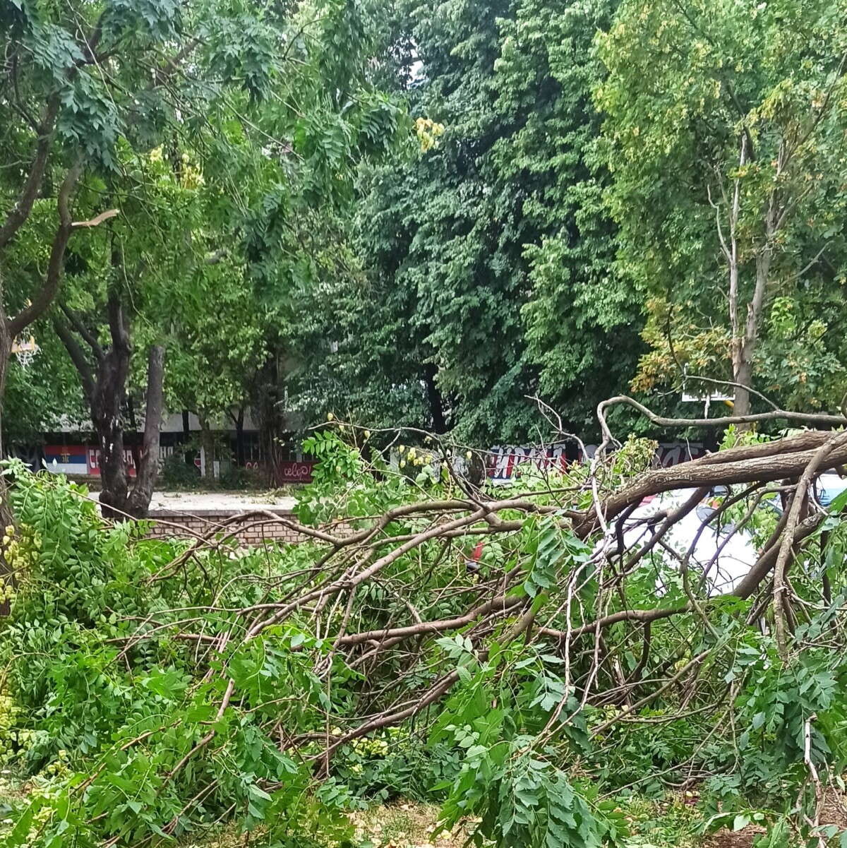 maltempo tempesta serbia novi sad