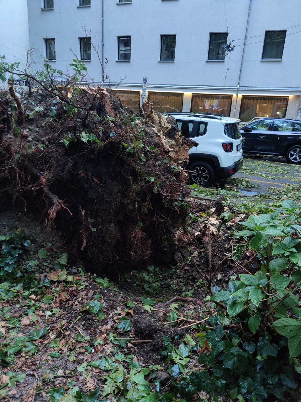 Maltempo, i danni di oggi a Monza