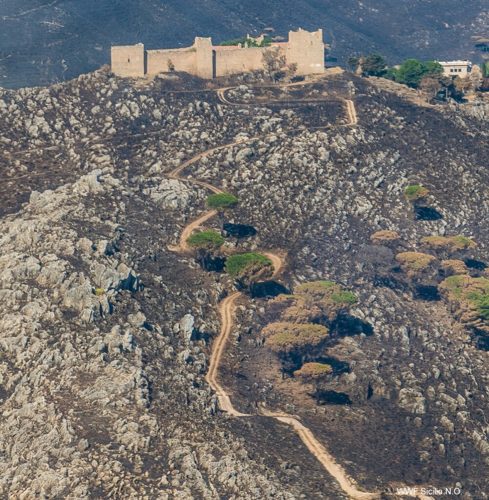 Monte Caputo Castellaccio