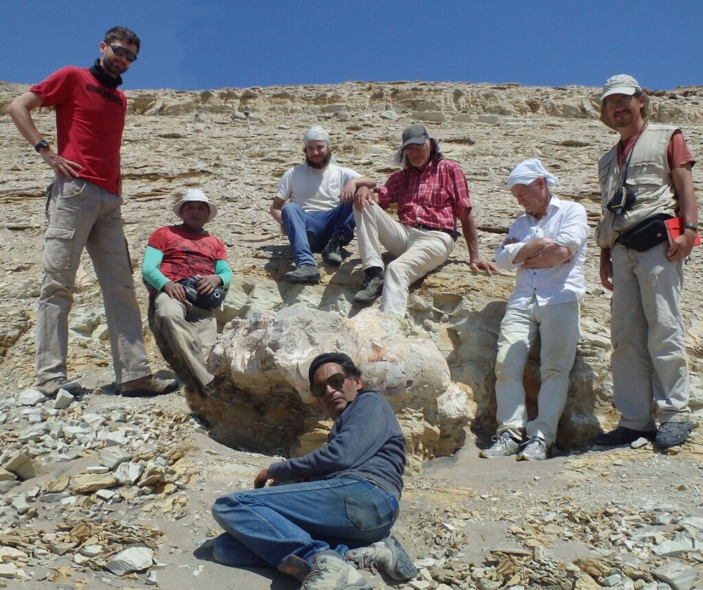 Il gruppo di ricerca nel sito di ritrovamento del fossile (Giovanni Bianucci)