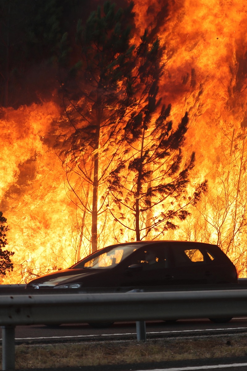 incendi portogallo