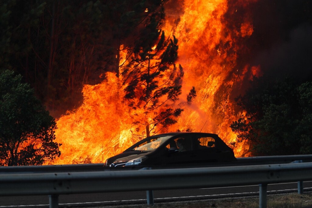 incendi portogallo