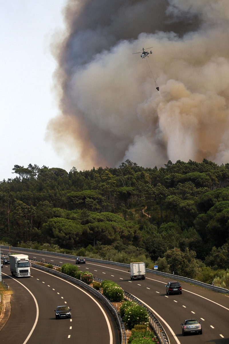 incendi portogallo