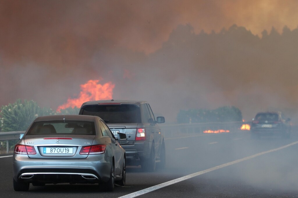 incendi portogallo