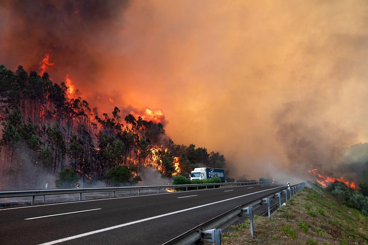 incendi portogallo