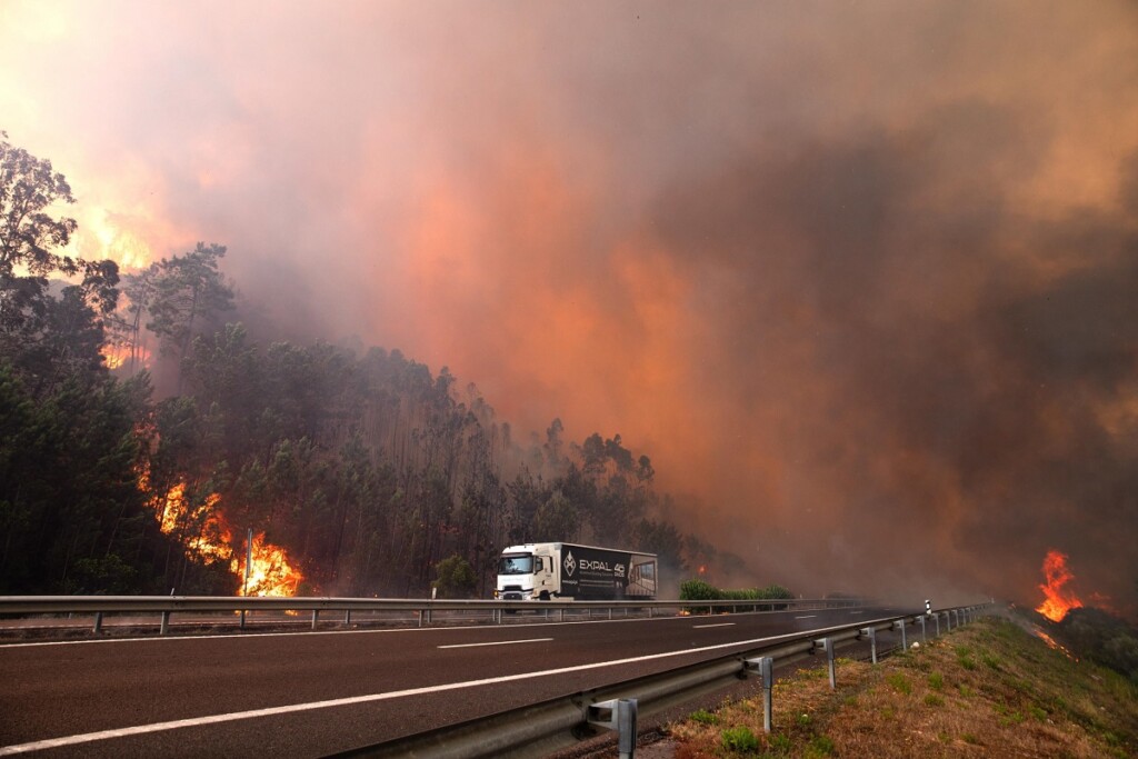 incendi portogallo