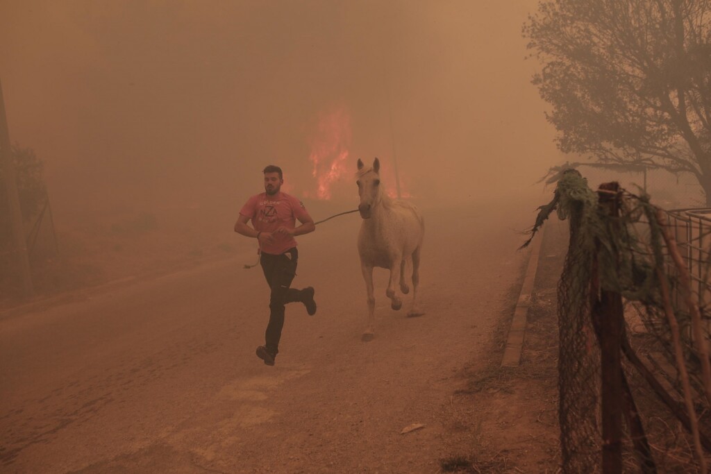 incendi grecia