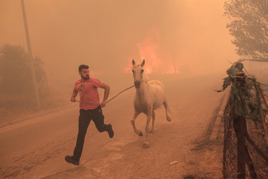 incendi grecia