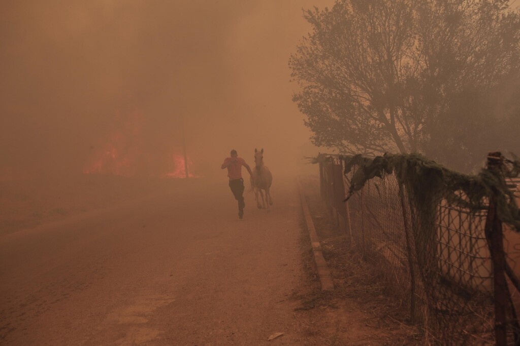 incendi grecia