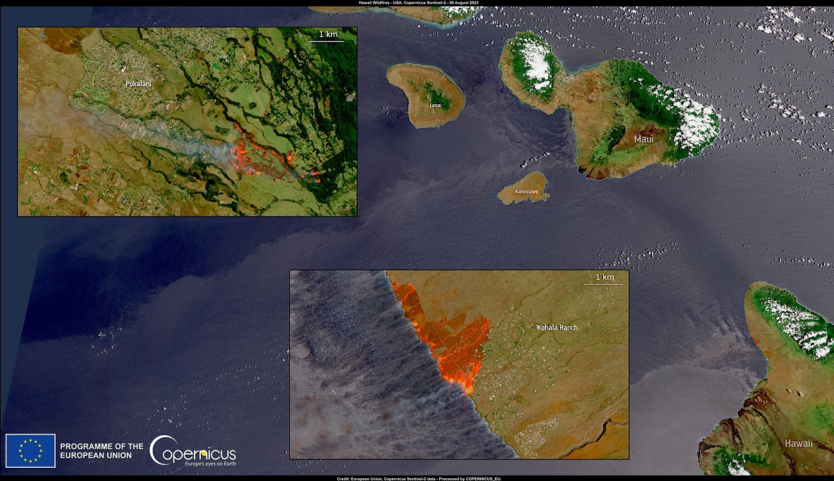 incendi hawaii