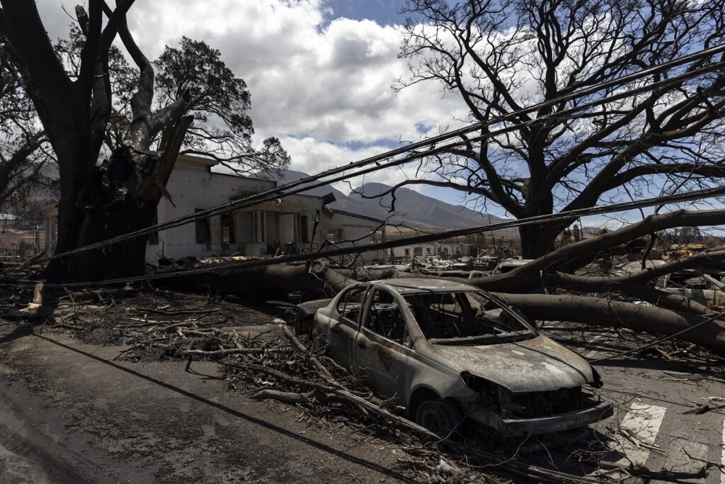 incendi hawaii maui lahaina