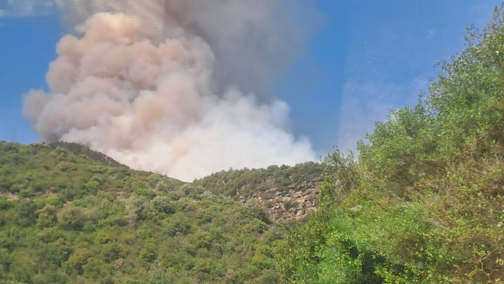 incendi liguria