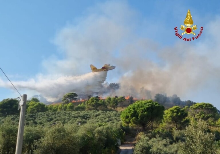 incendi pontino