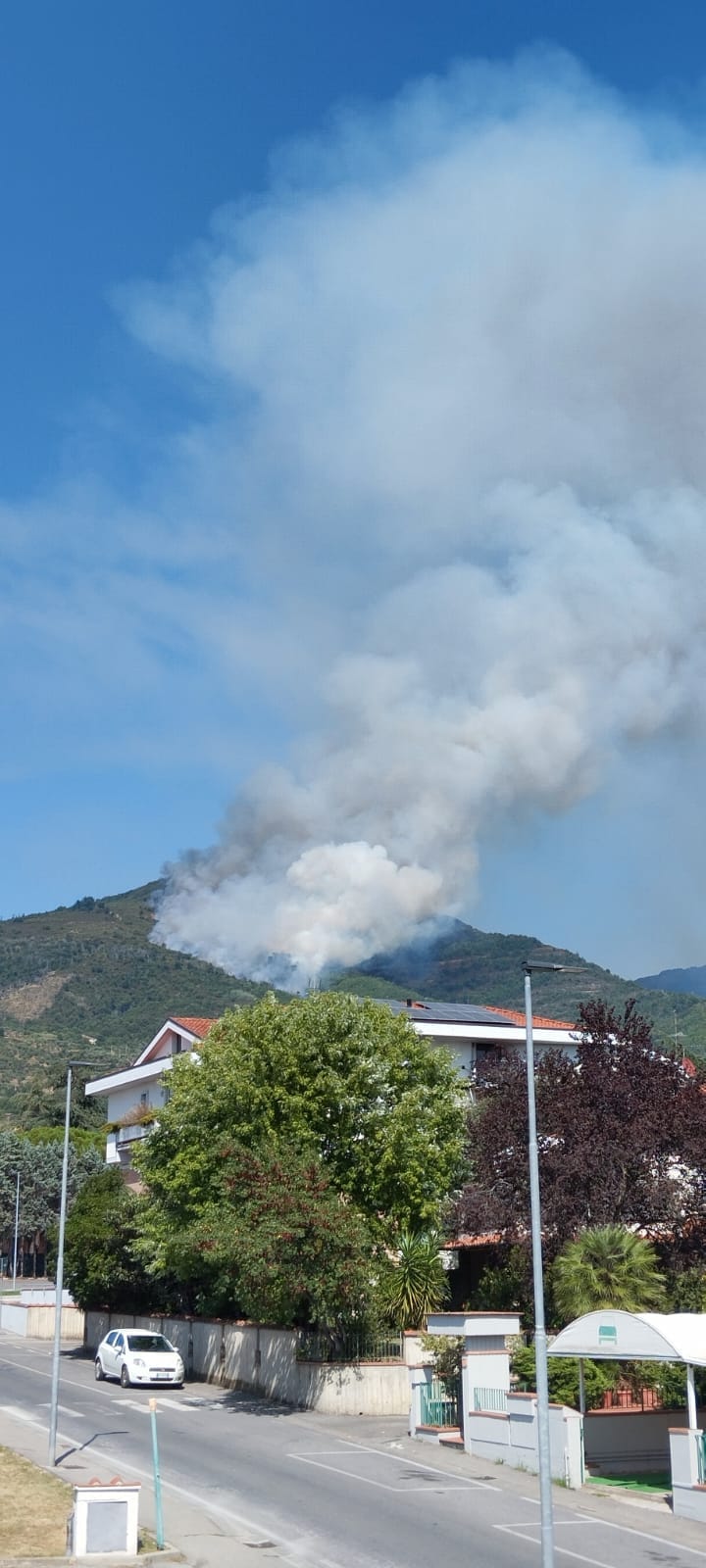 incendio Massanera di Reggello toscana