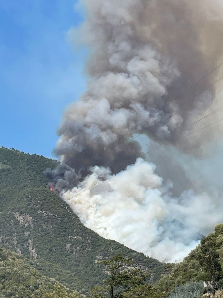 incendio badalucco liguria