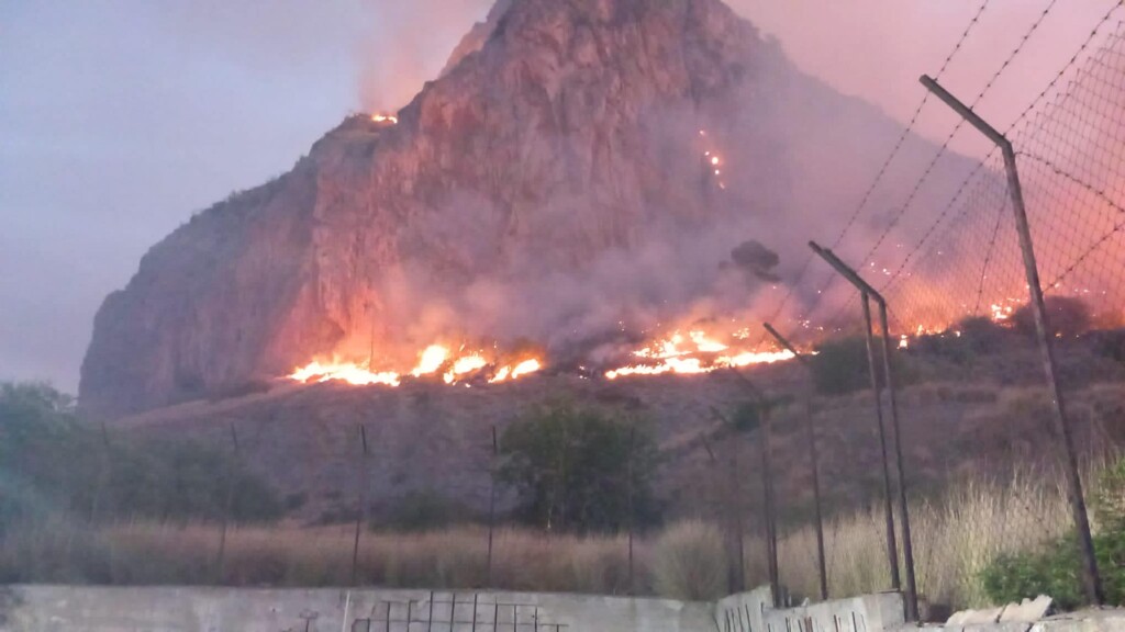 incendio monte pellegrino