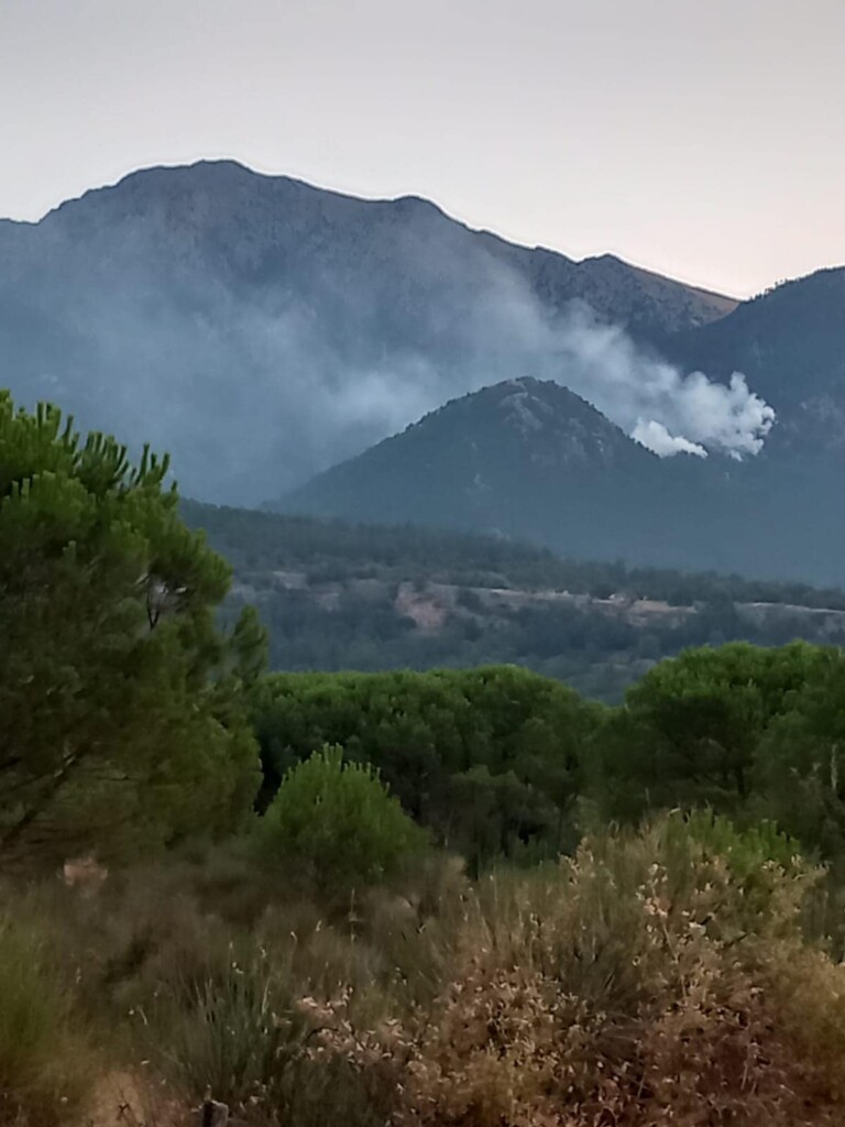 incendio pollino