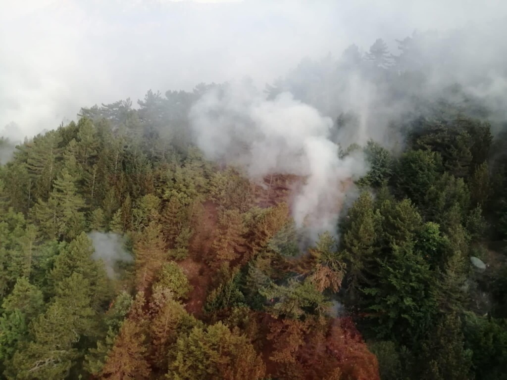 incendio pollino