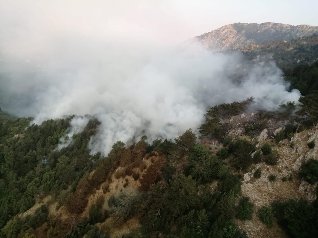 incendio pollino