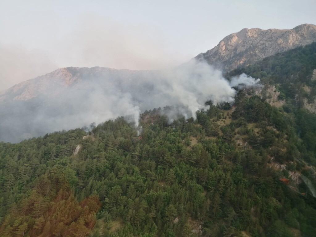 incendio pollino