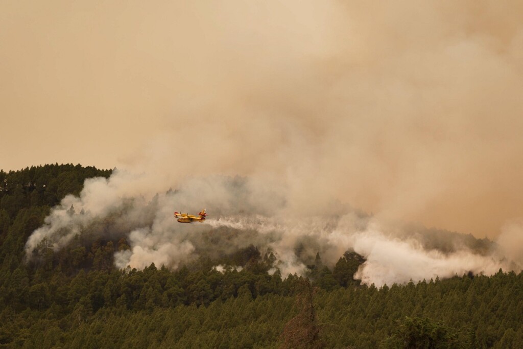 incendio tenerife