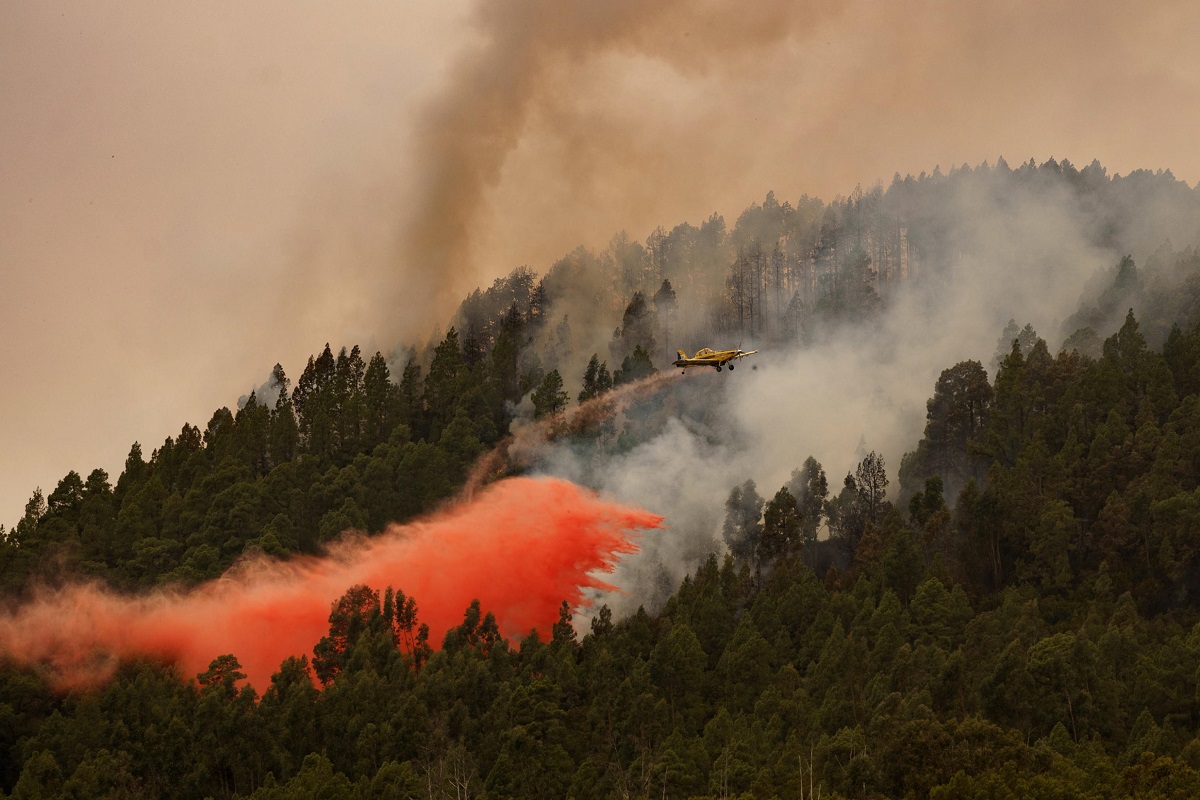 incendio tenerife