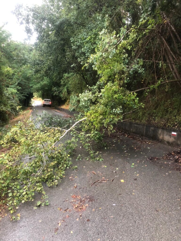 maltempo brugnato liguria