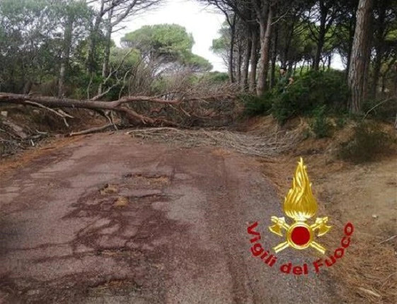 Maltempo Sardegna, temporali, raffiche di vento a 100km/h e mareggiate:  alberi caduti e danni | FOTO