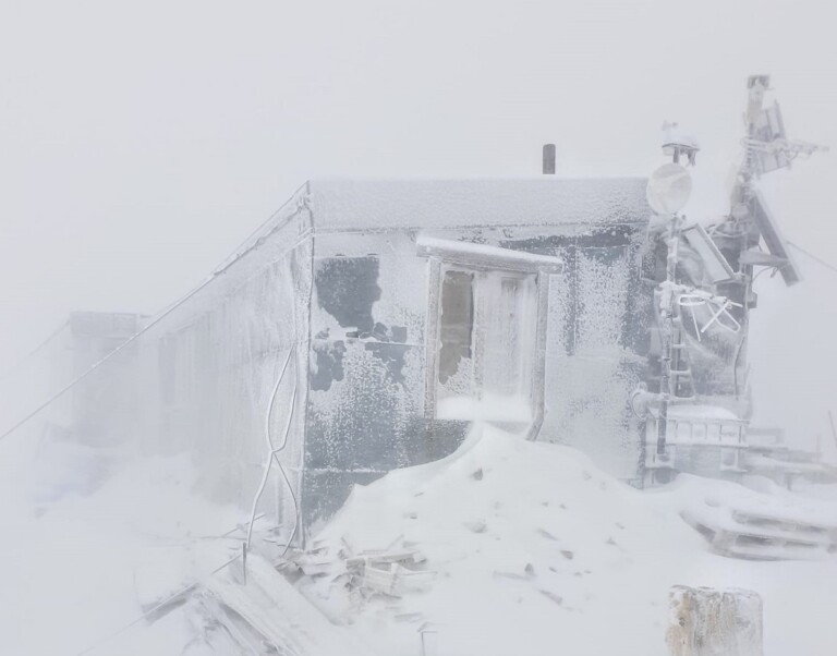 neve marmolada