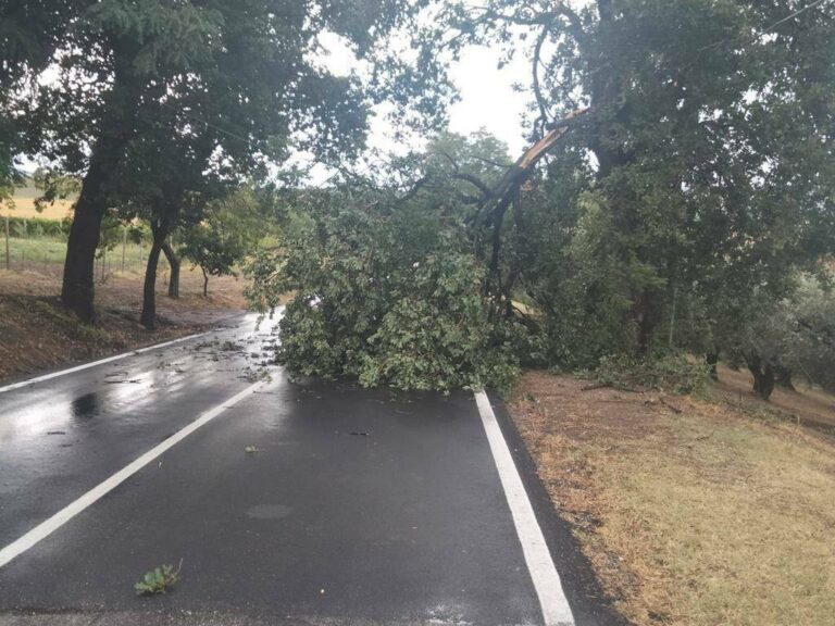 chiusa strada provinciale 55 tra Abruzzo e Molise