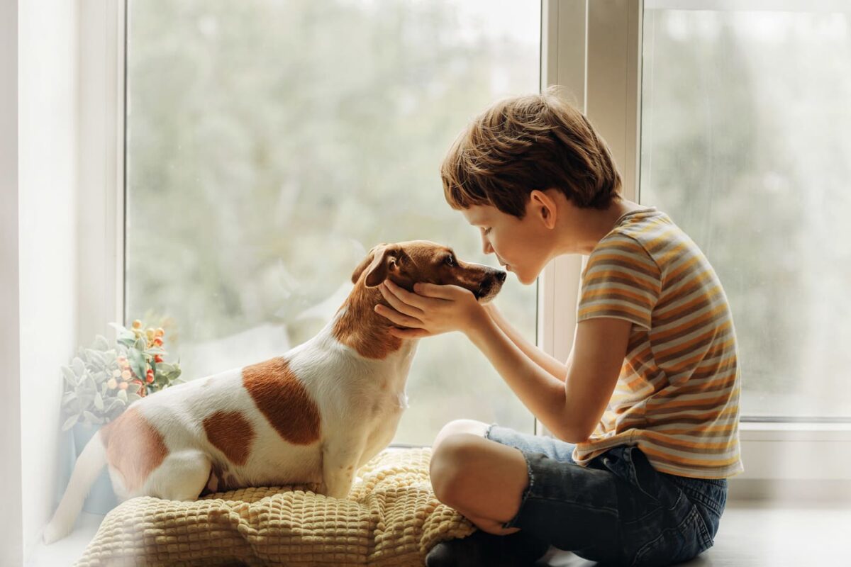 educazione volta al rispetto degli animali