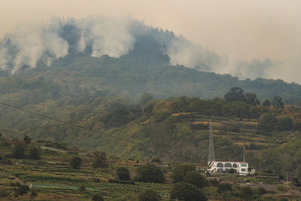 spagna incendi tenerife