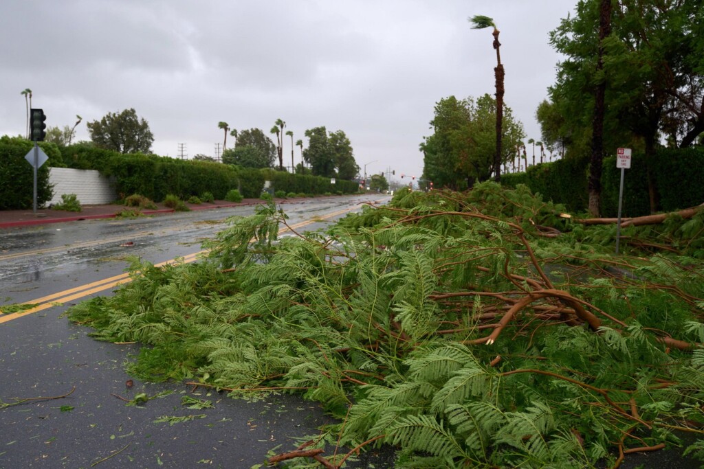 tempesta Hilary California