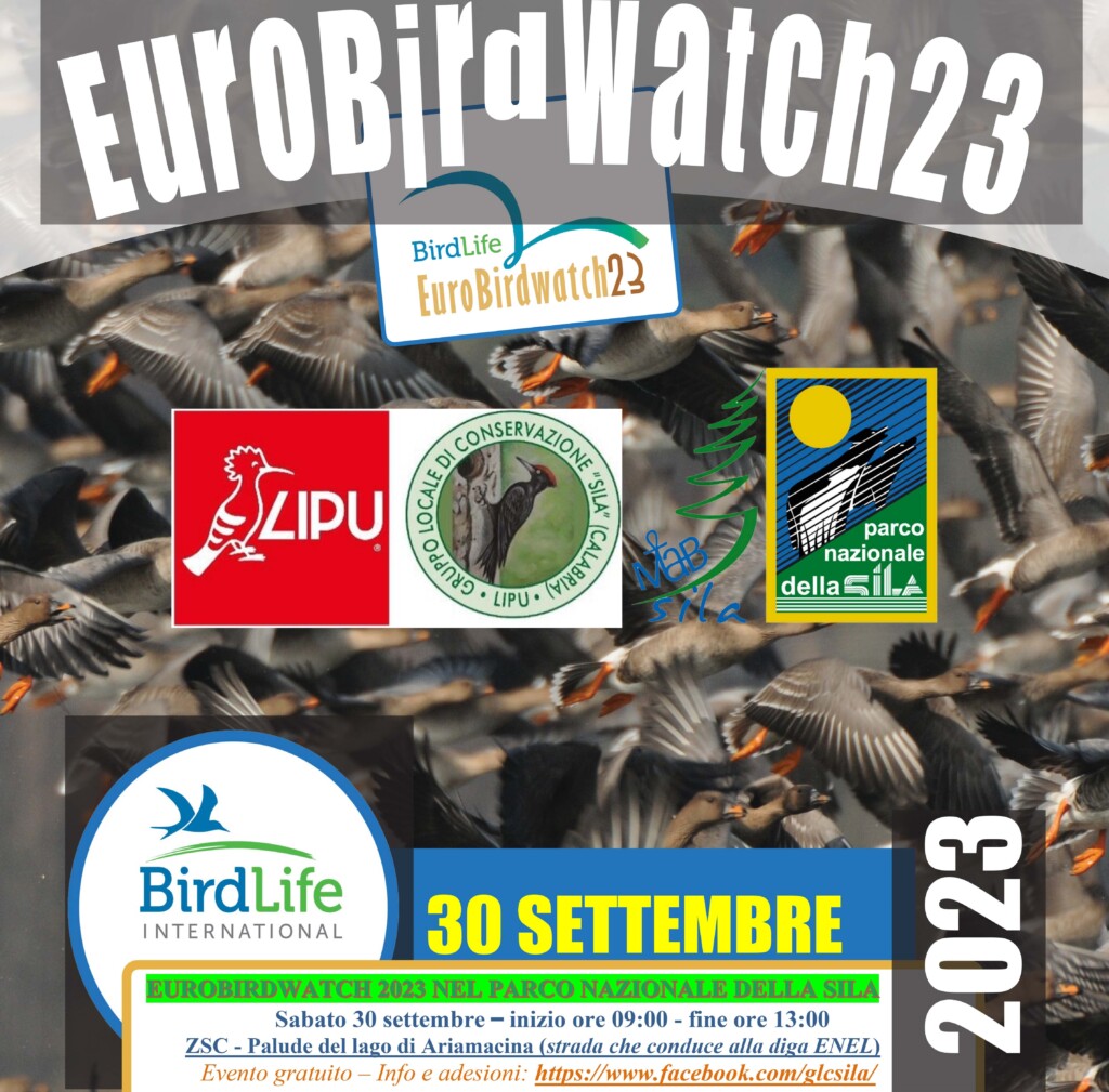 EuroBirdWatch 2023 sila