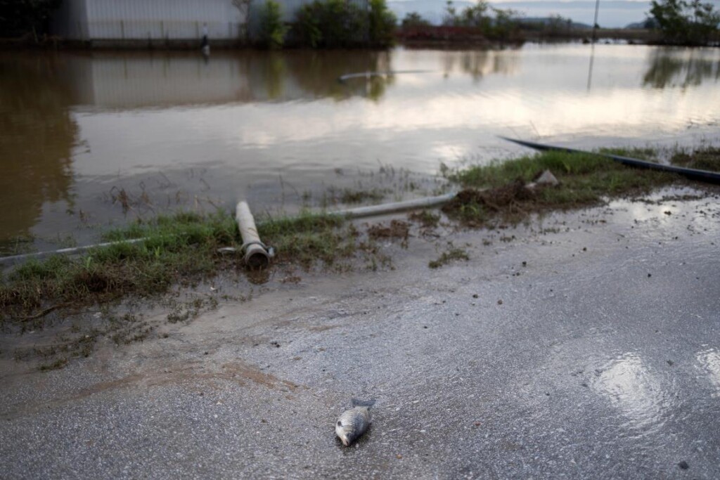 alluvione inondazioni maltempo grecia