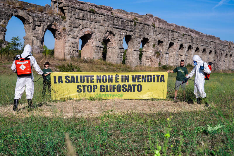 glifosato greenpeace