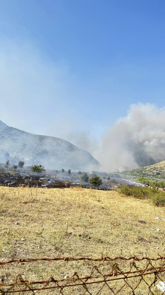 incendi sicilia