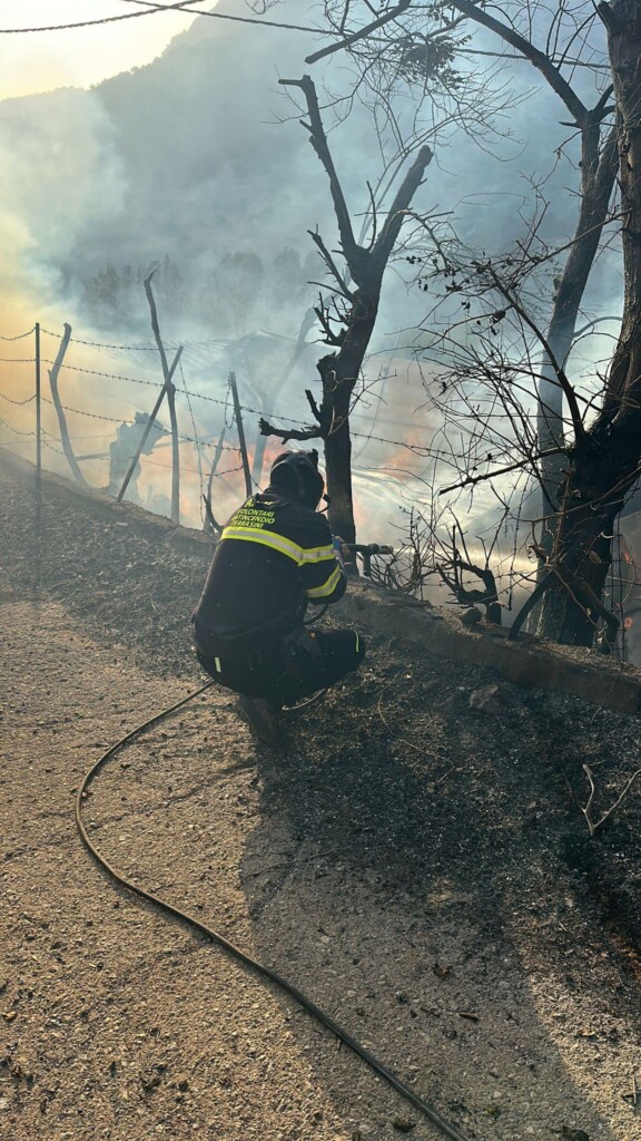 incendi sicilia