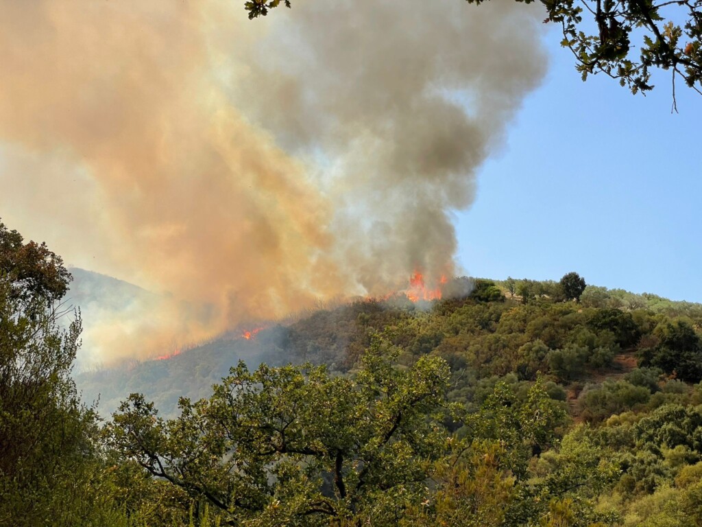 incendi sicilia