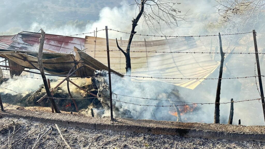 incendi sicilia