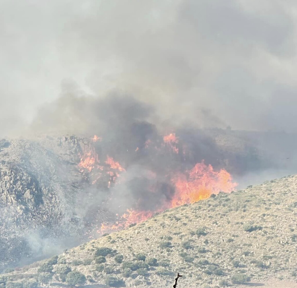 incendi sicilia