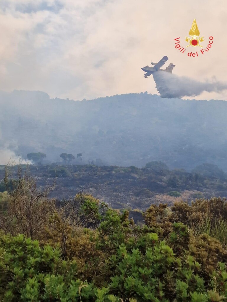 incendio pollino